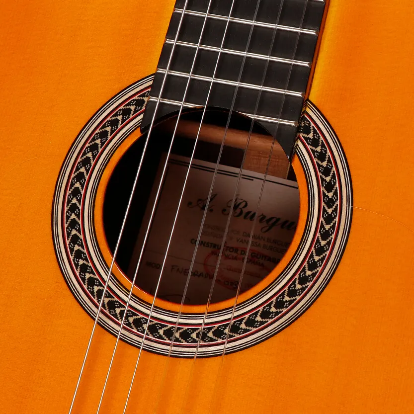 F-Negra-DV-3.webp